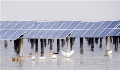 從江浙看光伏發(fā)展新風(fēng)向 ——探訪國家電投浙江、江蘇片區(qū)典型項目